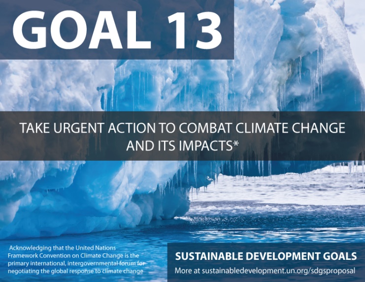 SDG goal 13