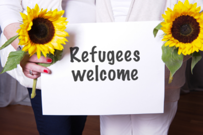 Refugees sunflowers