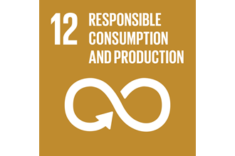 SDG goal 12