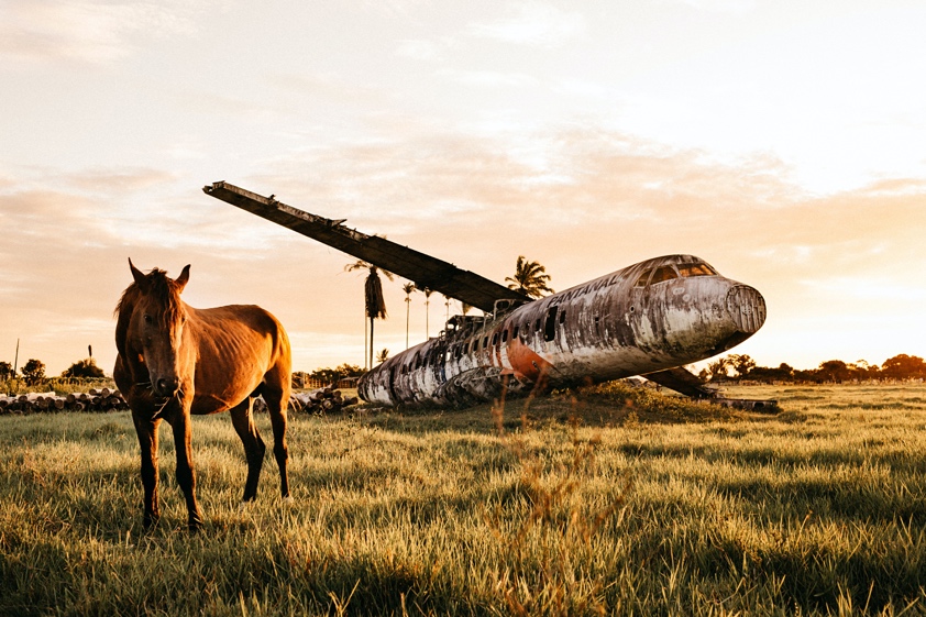 4 plane left in field