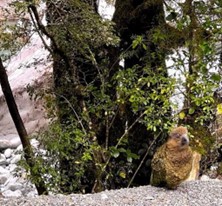 Env milford sound 6