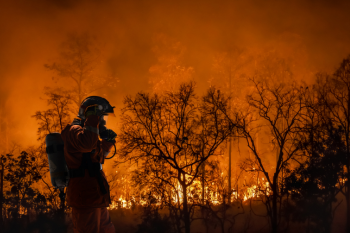 env book review fire weather