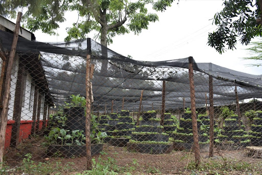 Urban farm photo AB