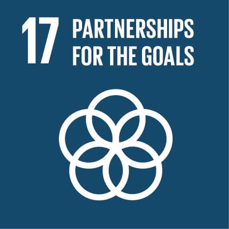 sdg 17 partnerships