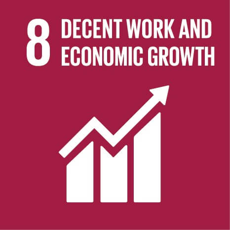 sdg 8 decent work