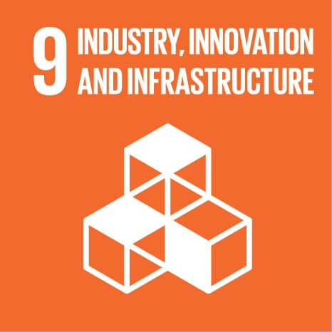 sdg 9 industry